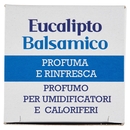 White Castle Profumo per Umidificatori e Caloriferi Eucalipto Balsamico 100 ml